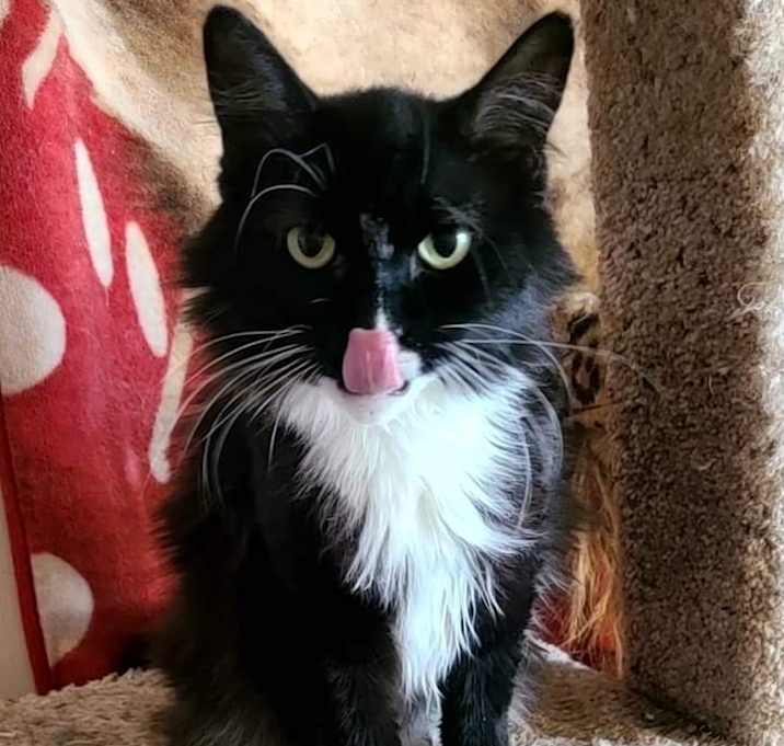 Photo of Momma Mia