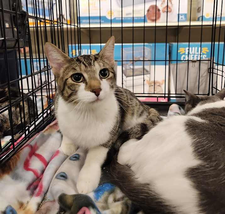 Photo of Winston