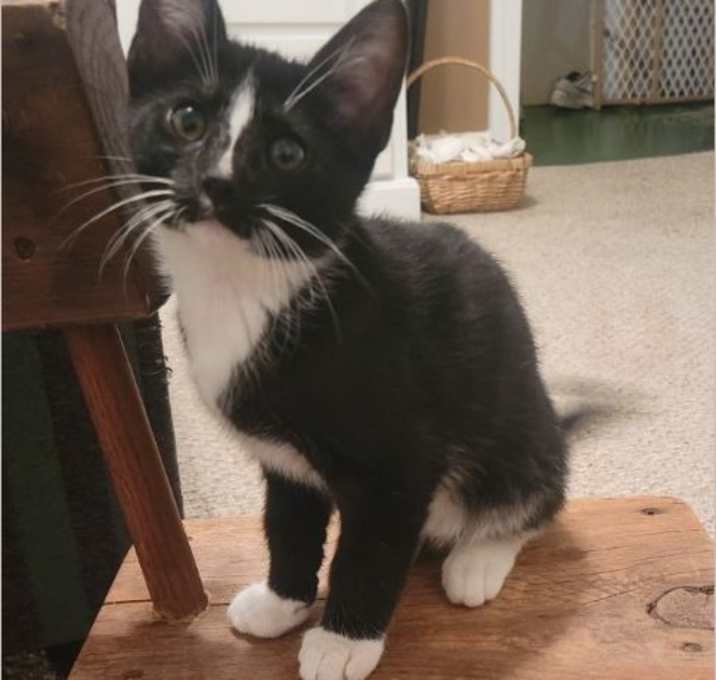 Photo of Max