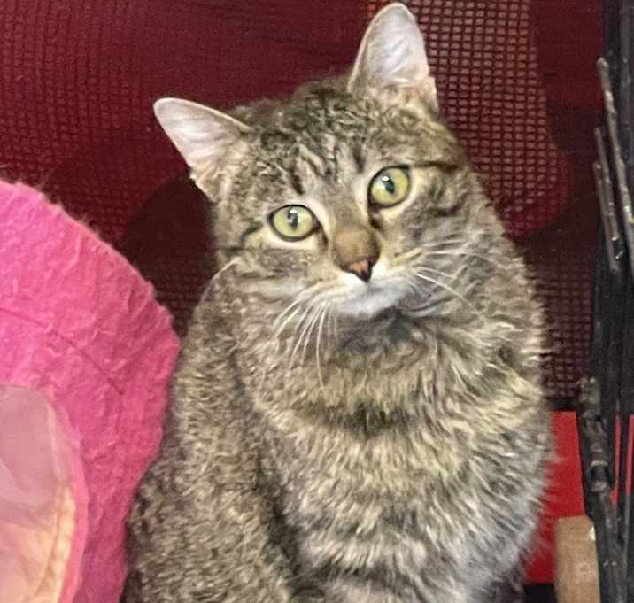 Photo of Jazz