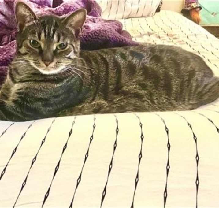 Photo of Sir Oliver