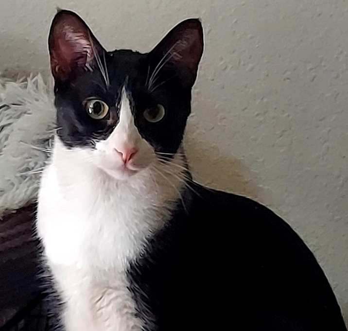 Photo of Mickey