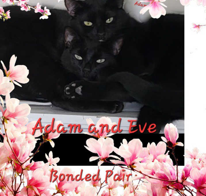 Photo of Adam