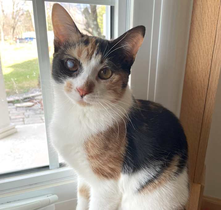 Photo of Katie