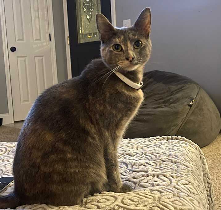 Photo of LUNA