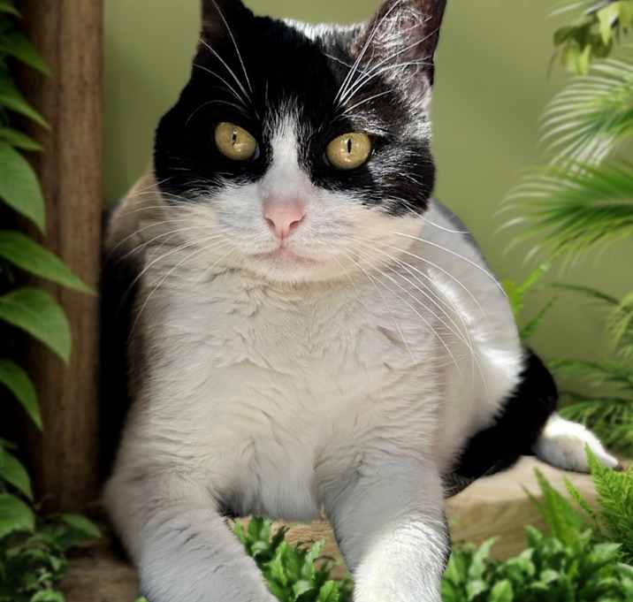 Photo of Sweetie