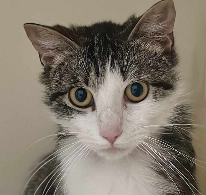 Photo of Junior