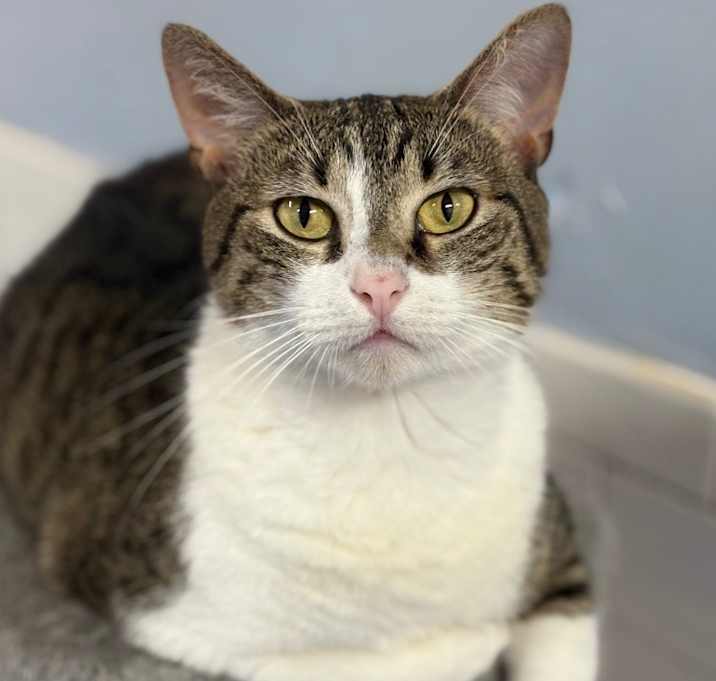 Photo of Tabulous