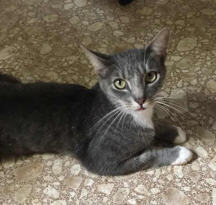 Photo of Sebastian