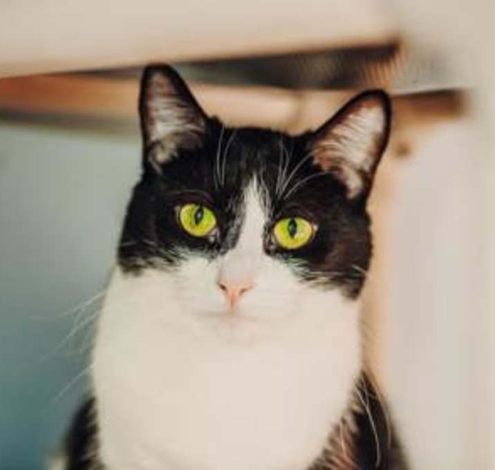 Photo of Wednesday