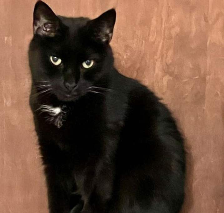 Photo of Obi