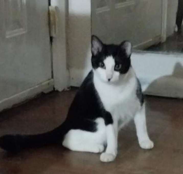 Photo of Nini MaMo