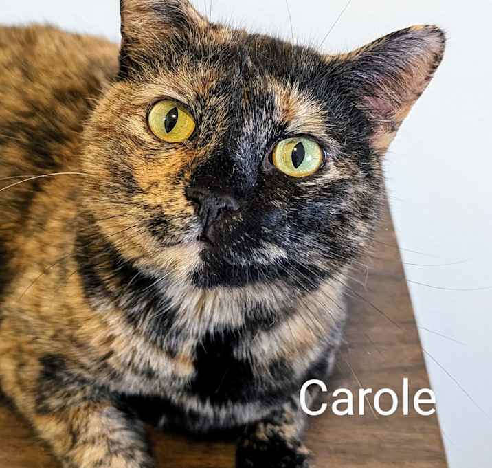 Photo of Carole