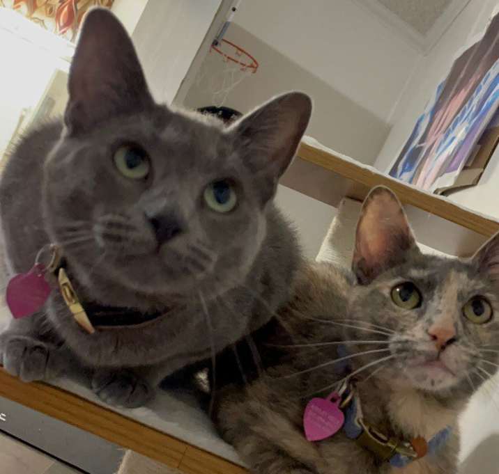 Photo of Bella