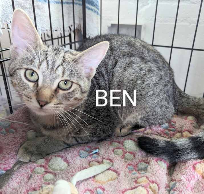 Photo of Ben