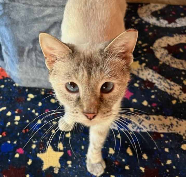 Photo of Sassy DC