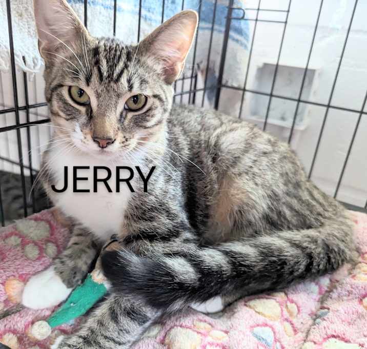 Photo of Jerry