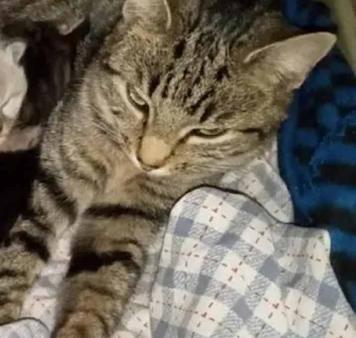 Photo of Momma Mia