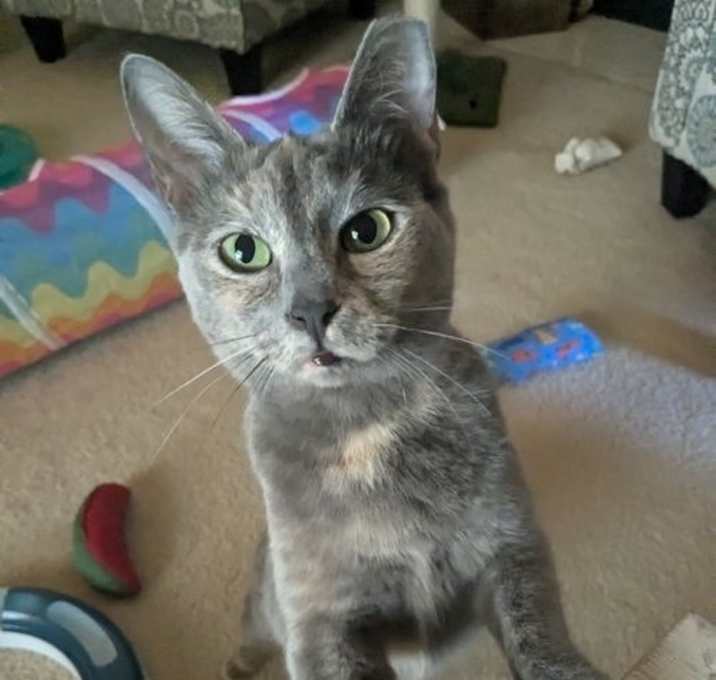 Photo of Sasha