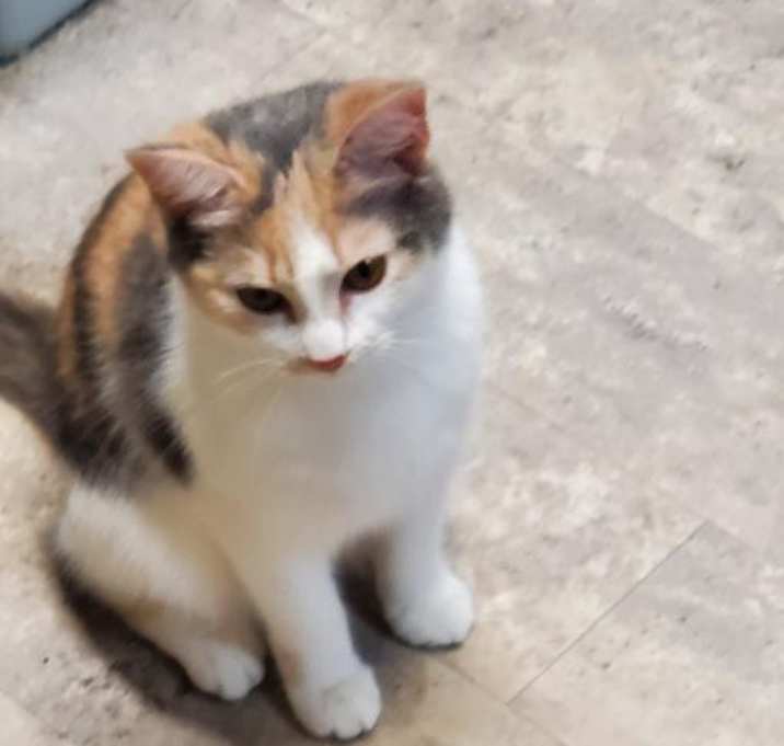Photo of SPRINKLES