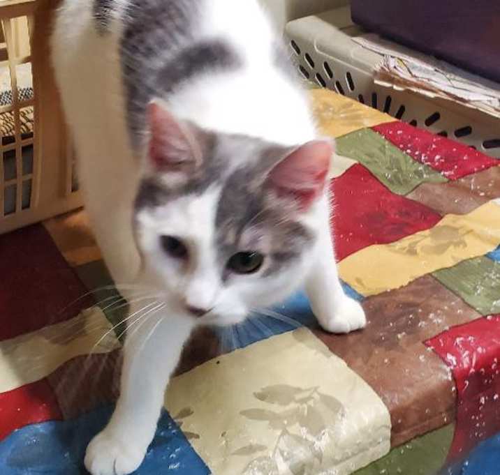 Photo of TINKLERBELL