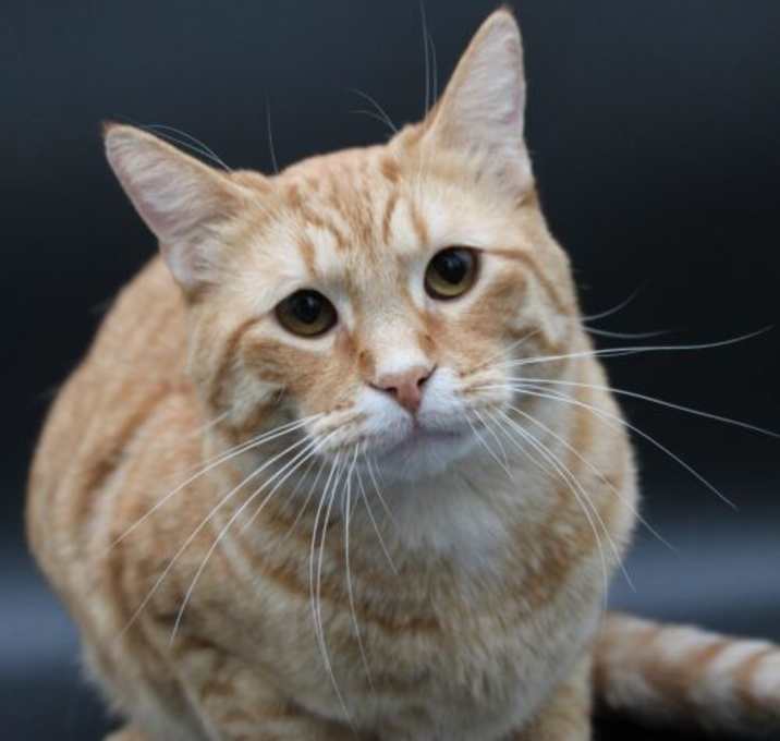 Photo of Jake