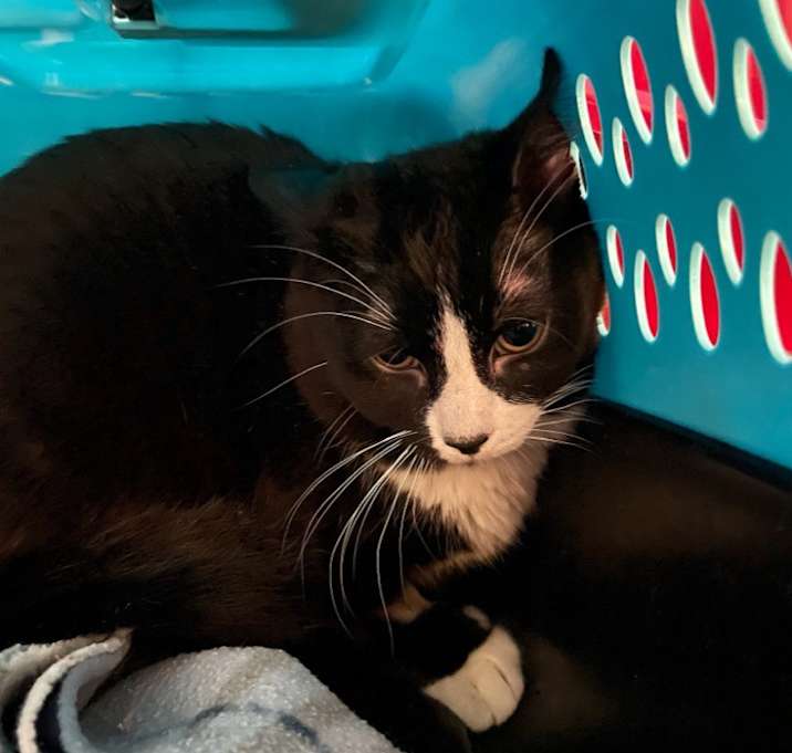 Photo of Max