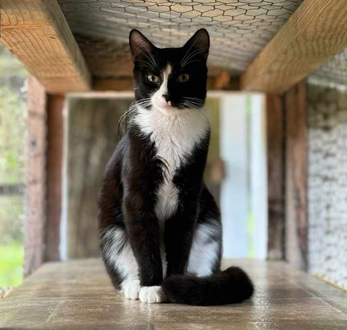 Photo of Woody