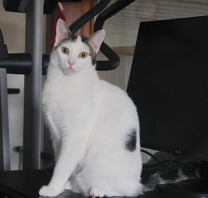 Photo of Sid