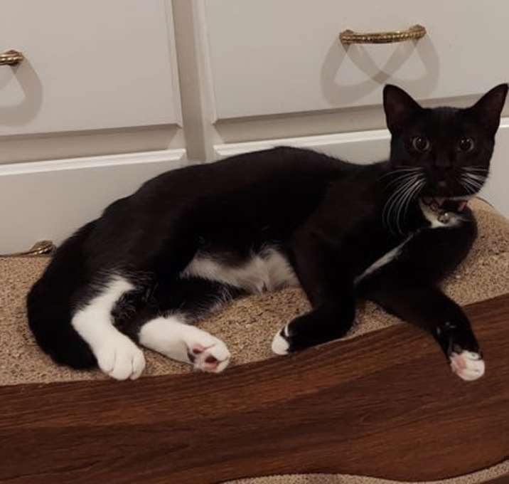 Photo of Zora