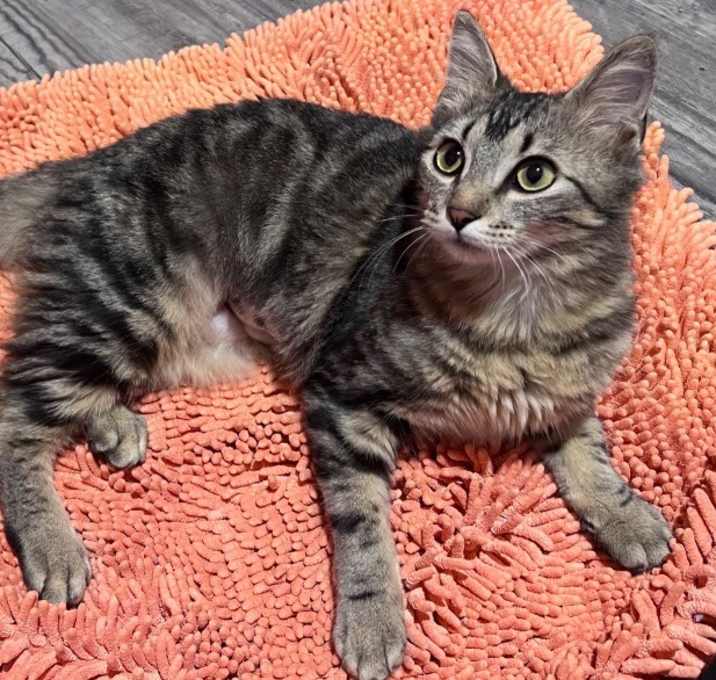 Photo of Hurricane