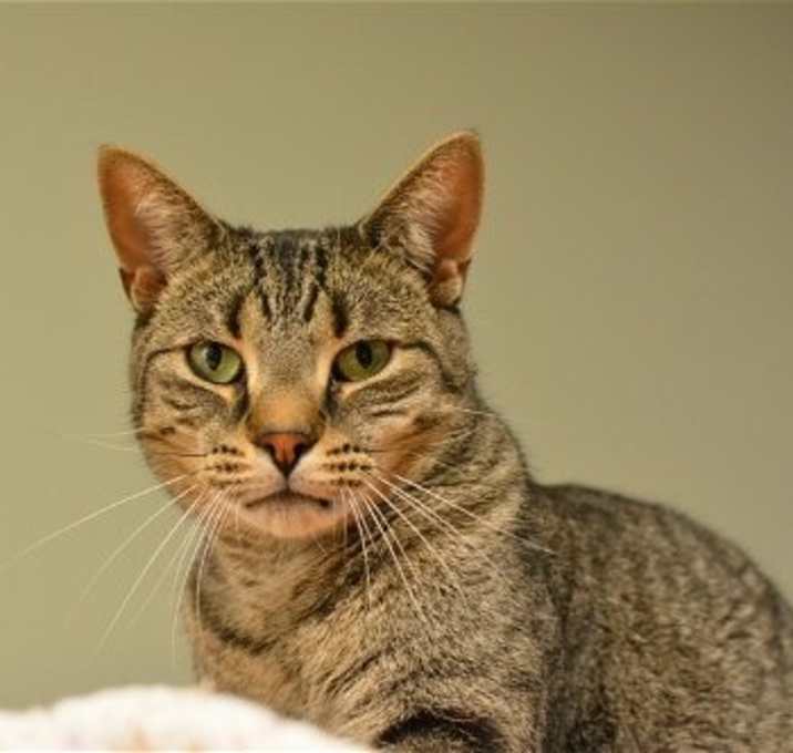 Photo of Sleek