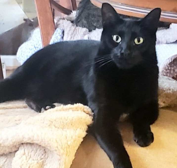Photo of Milo