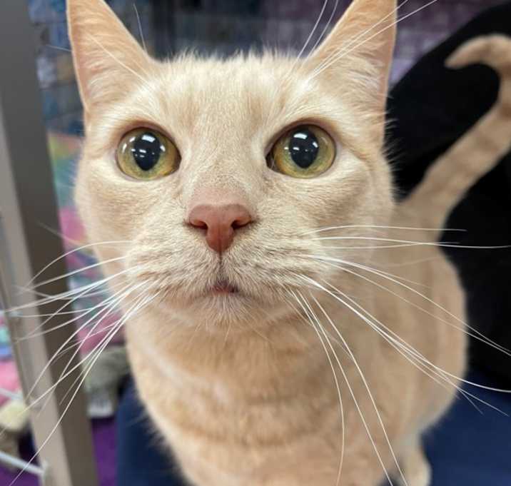 Photo of Little Miss