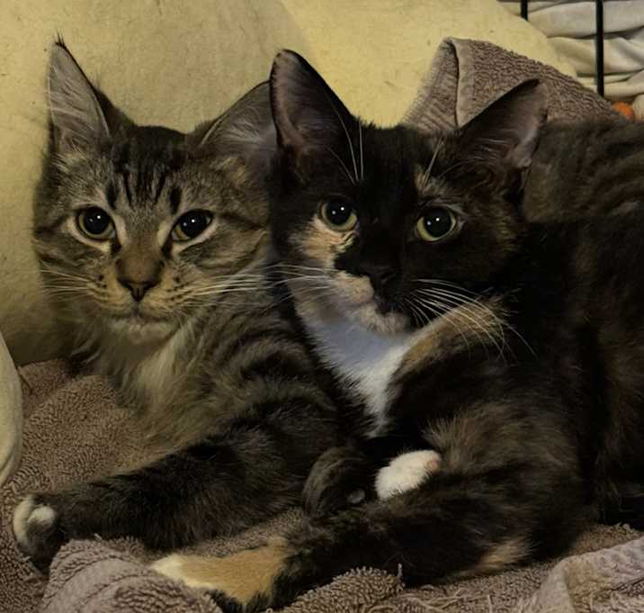 Photo of Spice