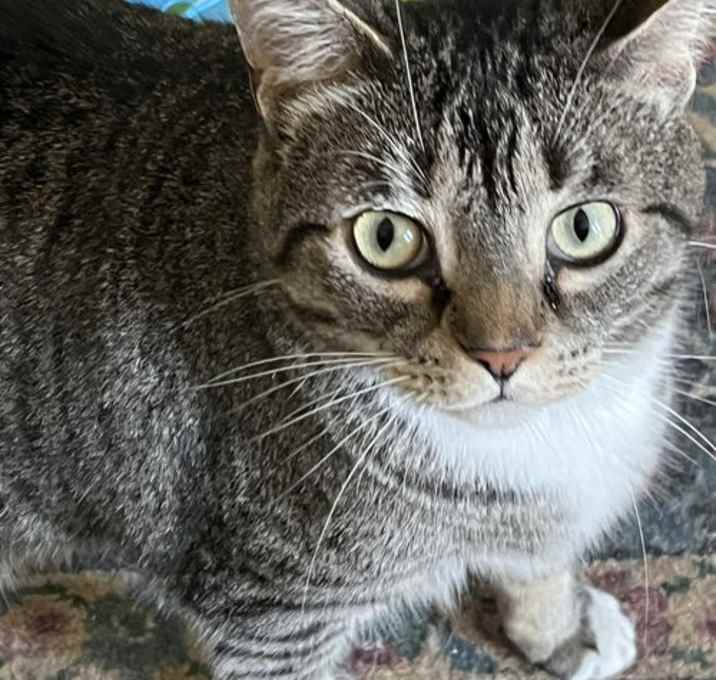 Photo of Binx