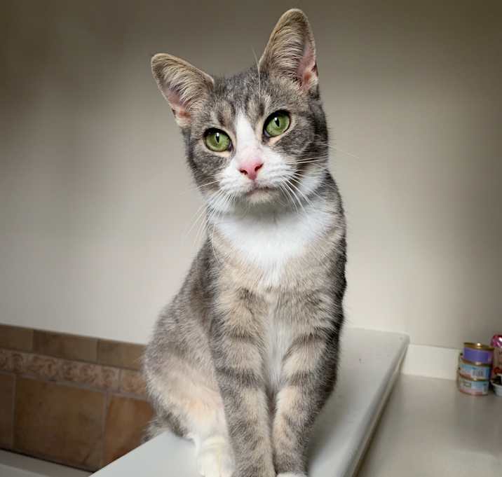 Photo of Avery