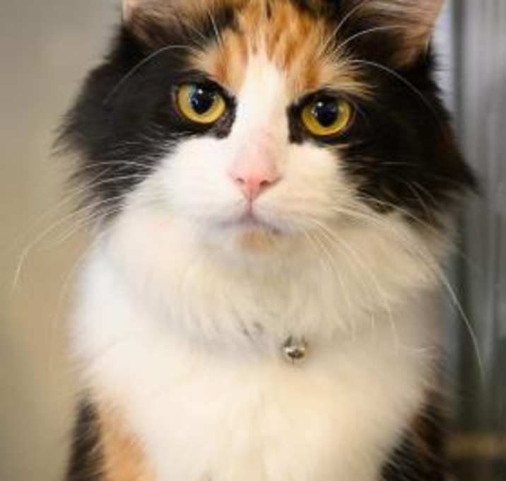 Photo of Cleo
