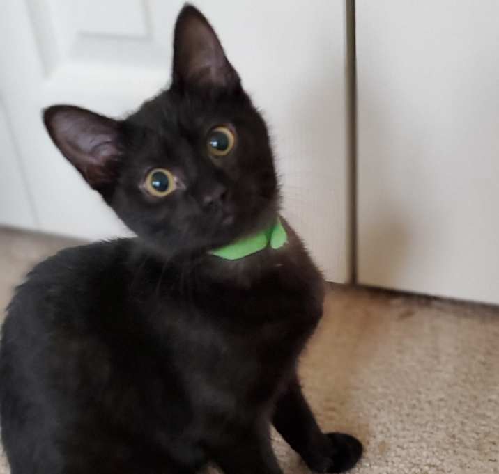 Photo of Dakota