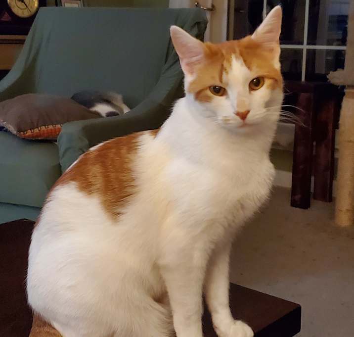 Photo of Finnegan
