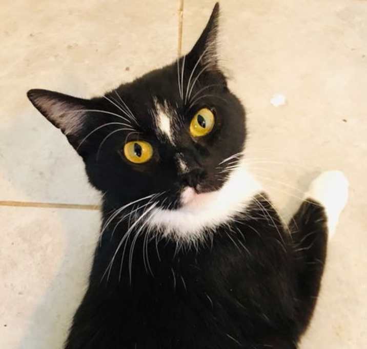 Photo of Luna