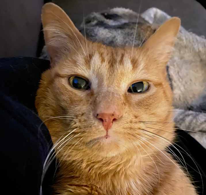 Photo of Andy