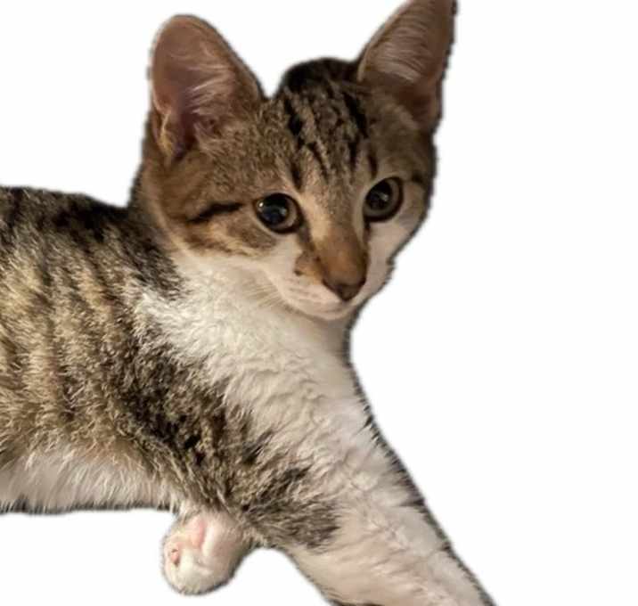 Photo of Leonard