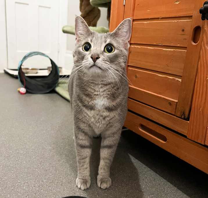 Photo of Jeanne