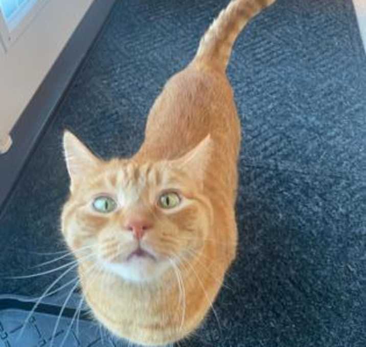 Photo of Fozzie