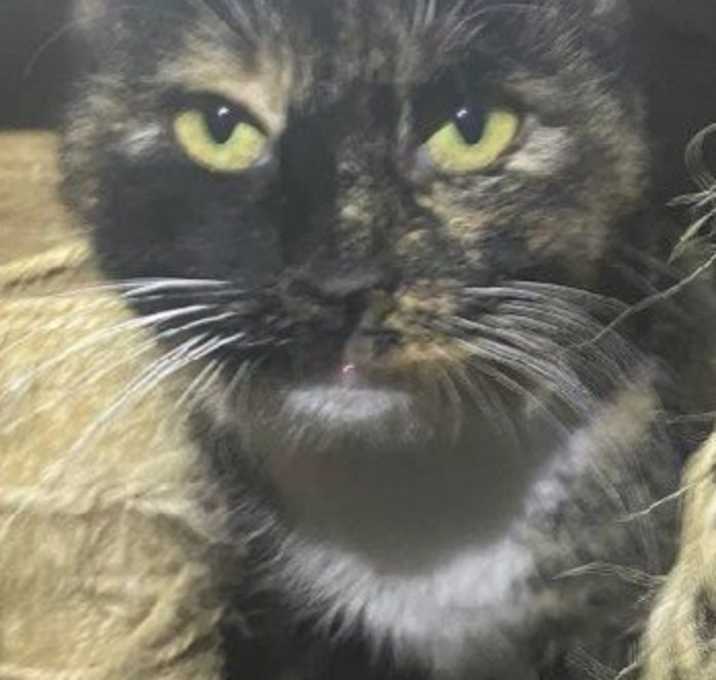 Photo of MARCY