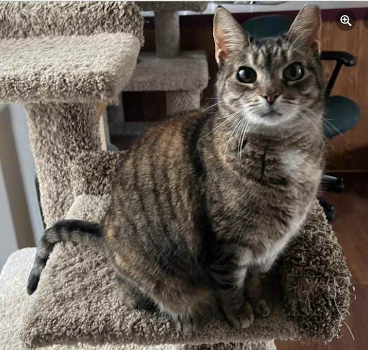 Photo of Penny