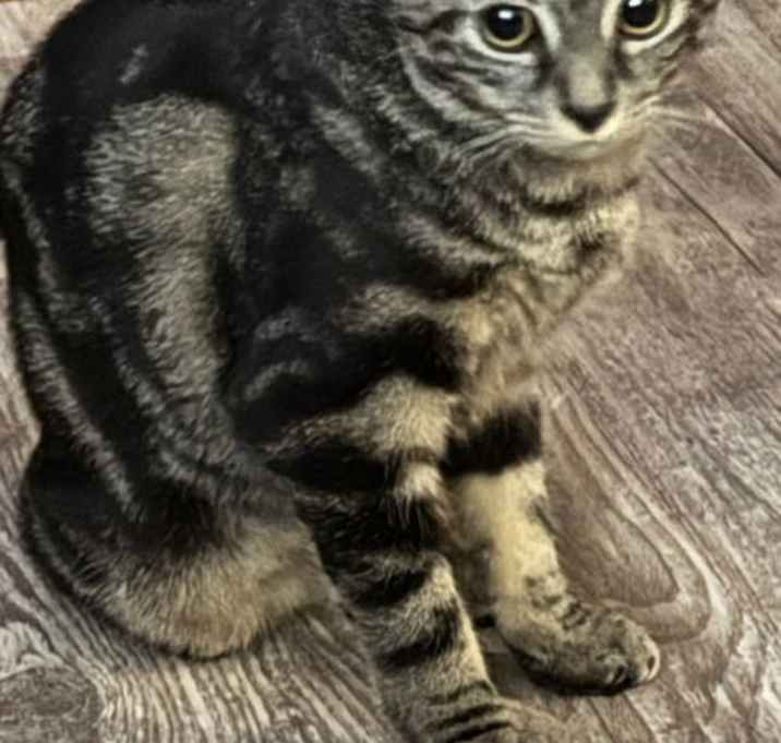 Photo of Lola