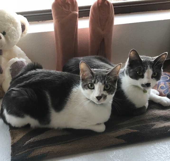 Photo of Pantheon - BONDED with Charming
