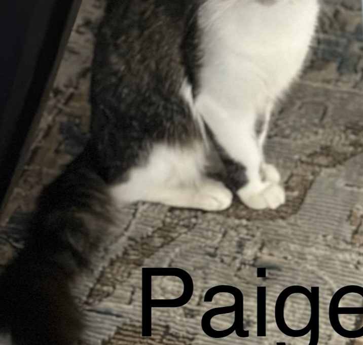 Photo of Paige